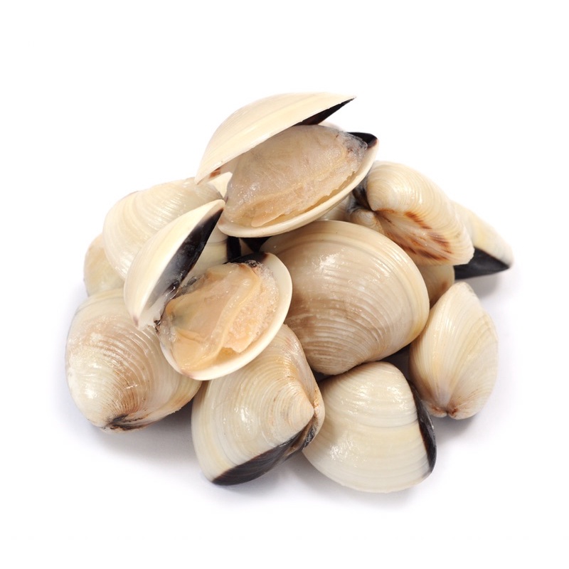 Master Grocer Clam (Lala White Shell) Frozen 500g