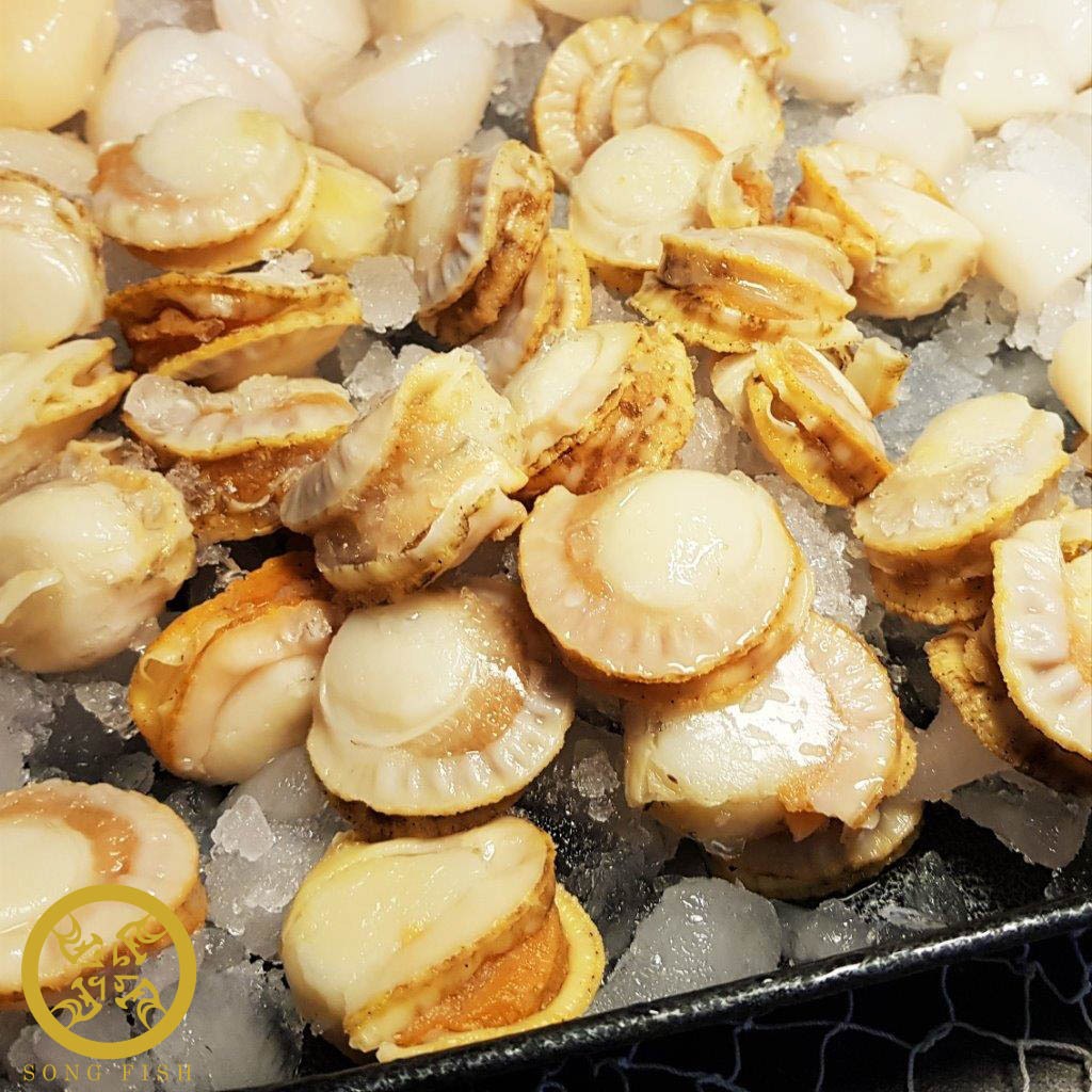 Boiled Hotate Frozen