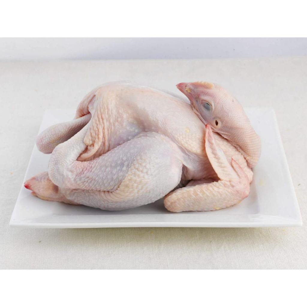 Frozen Whole Chicken 全鸡