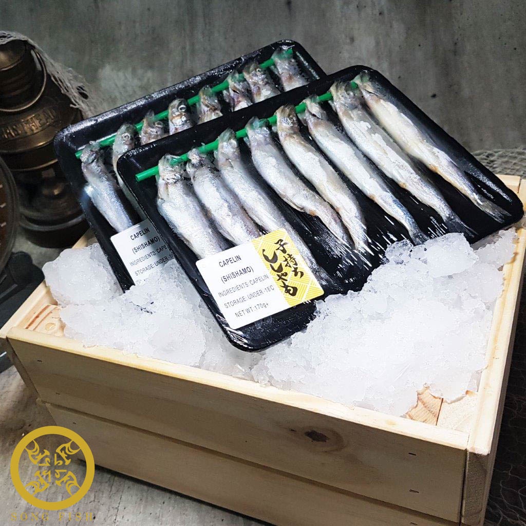 [Song Fish] Shishamo, Frozen [Bundle of 2 trays]