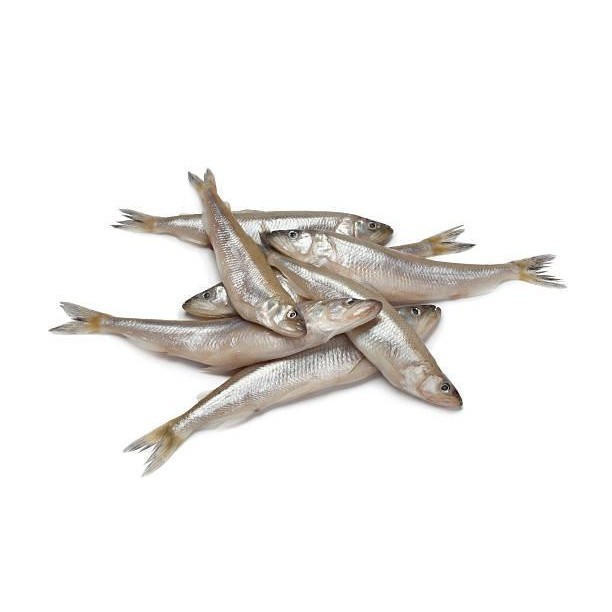 Shishamo 多春鱼 120g [Jokia]