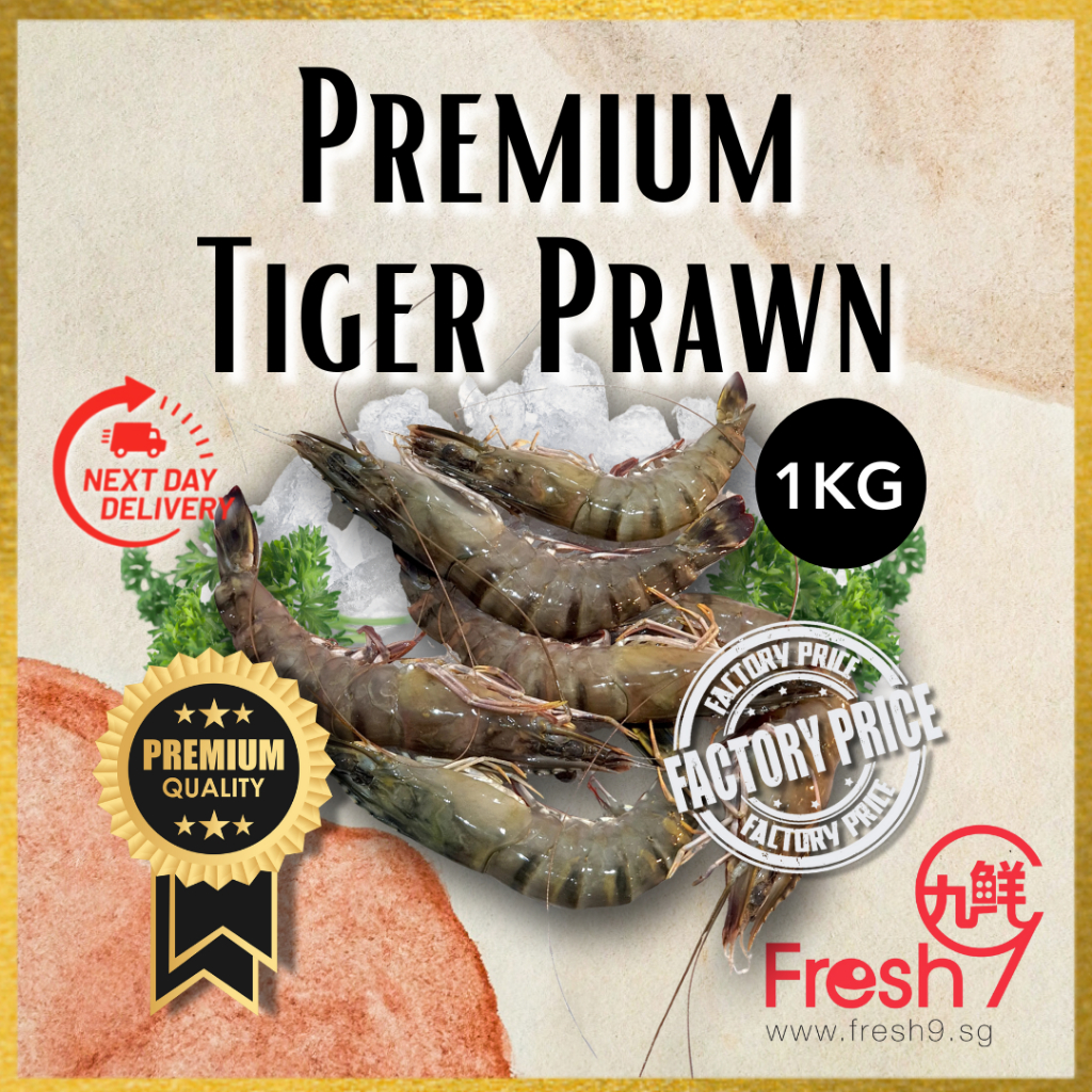 [Fresh9] Fresh / Frozen Tiger Prawn Seafood (Net Weight: 650g/box) Seafood Malaysia | 速冻虎虾