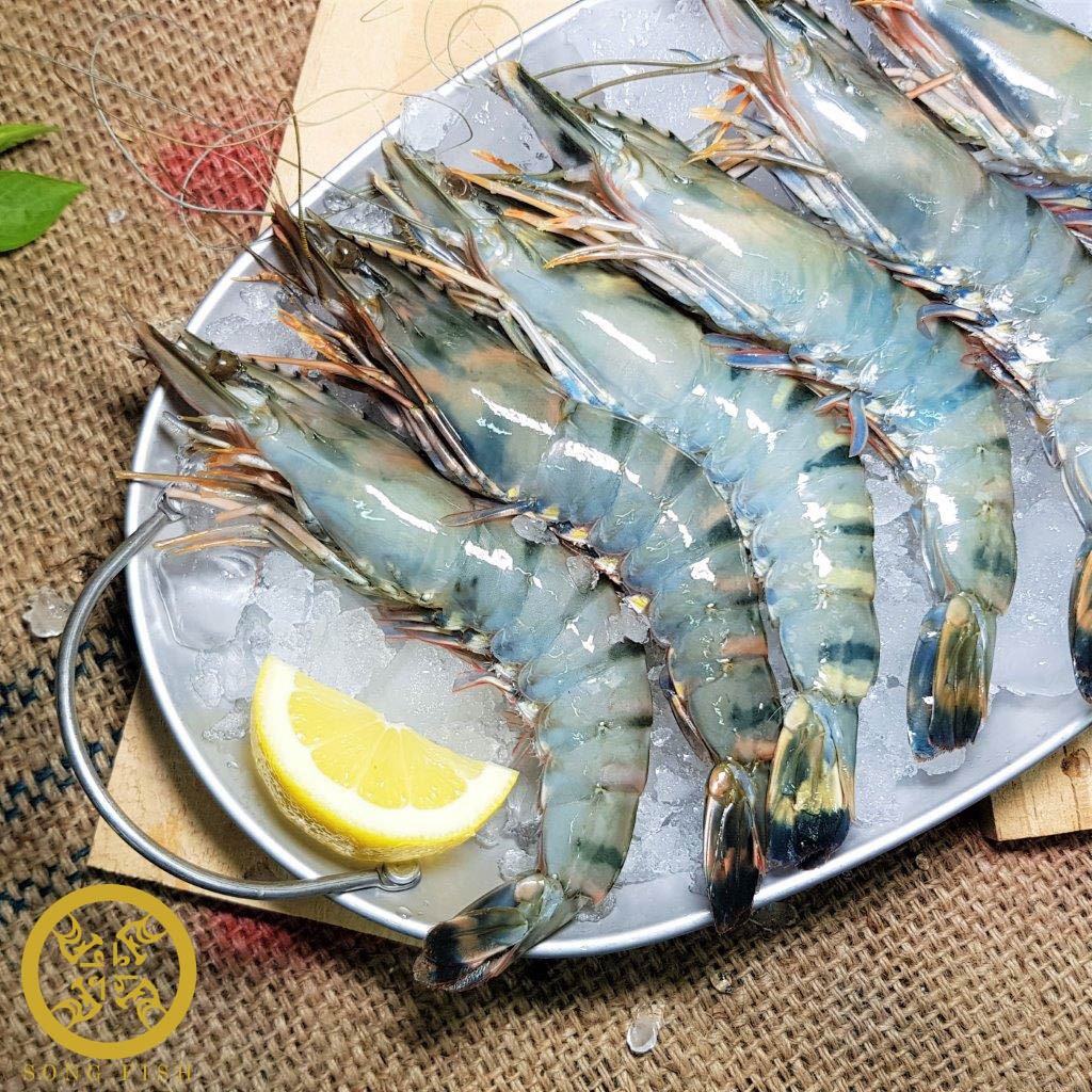 [Song Fish] Premium Tiger Prawn, Frozen