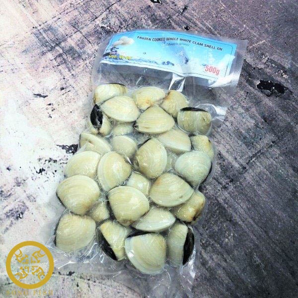 [ Song Fish] White Clams with Shell On, Frozen