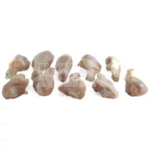 Froz Chicken Drumstick 2kg 6