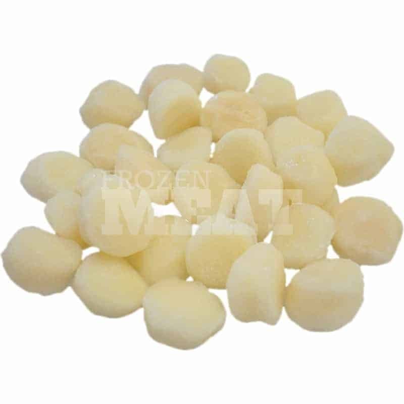 Frozenmeat Scallops Usa 1